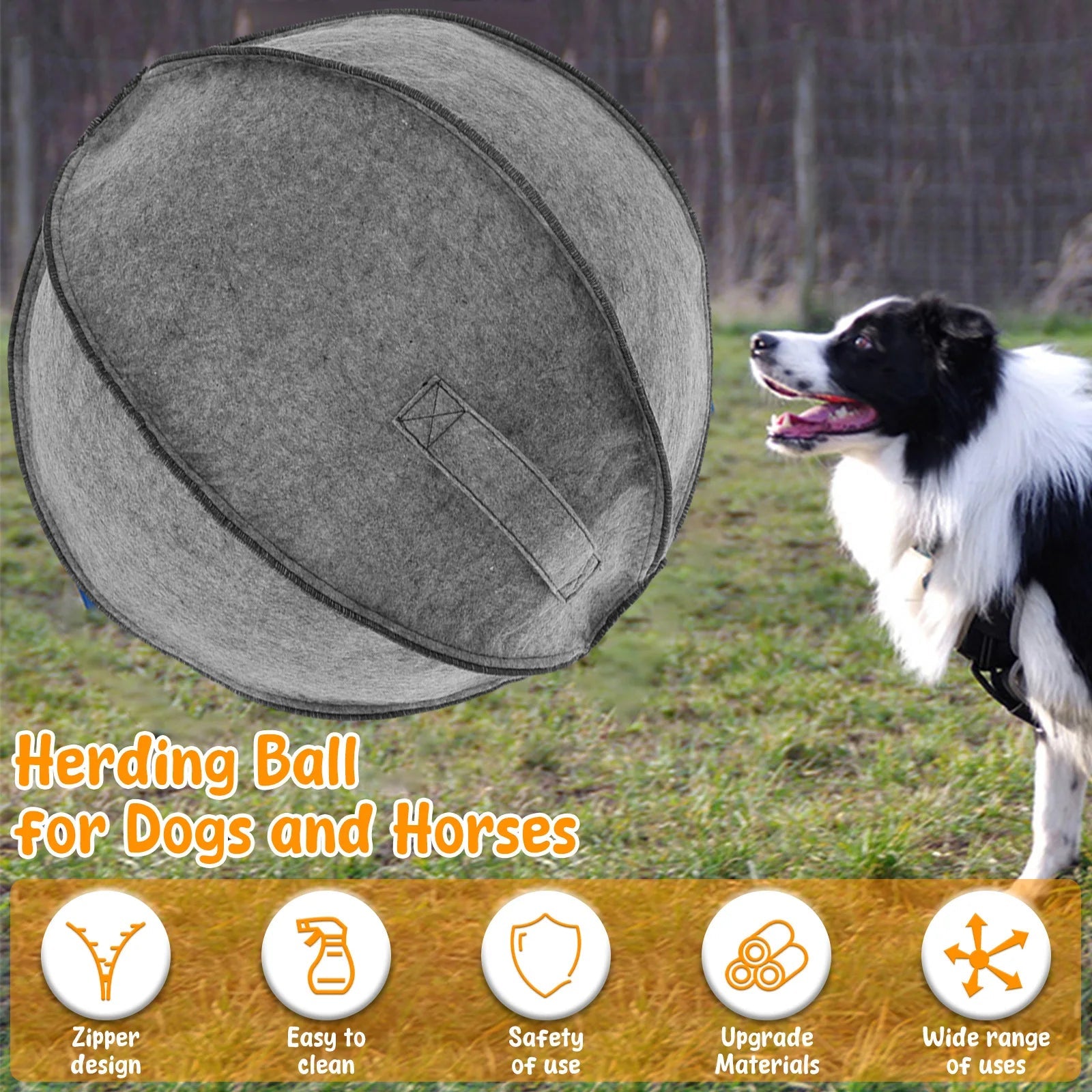Aussie Herding Bal - Duke & Scoop