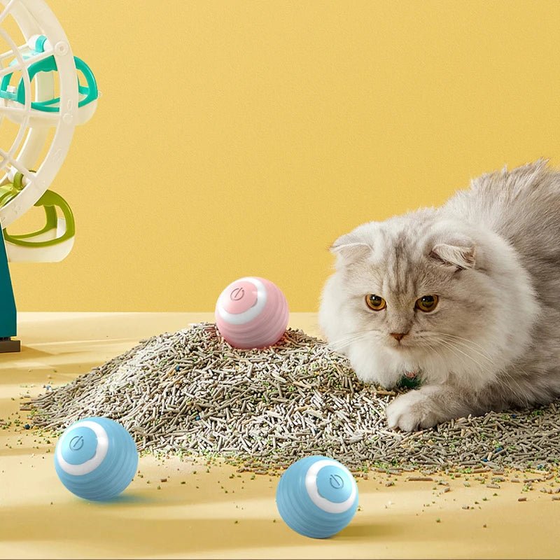 AutoPurr – Slimme Interactieve Kattenbal - Duke & Scoop