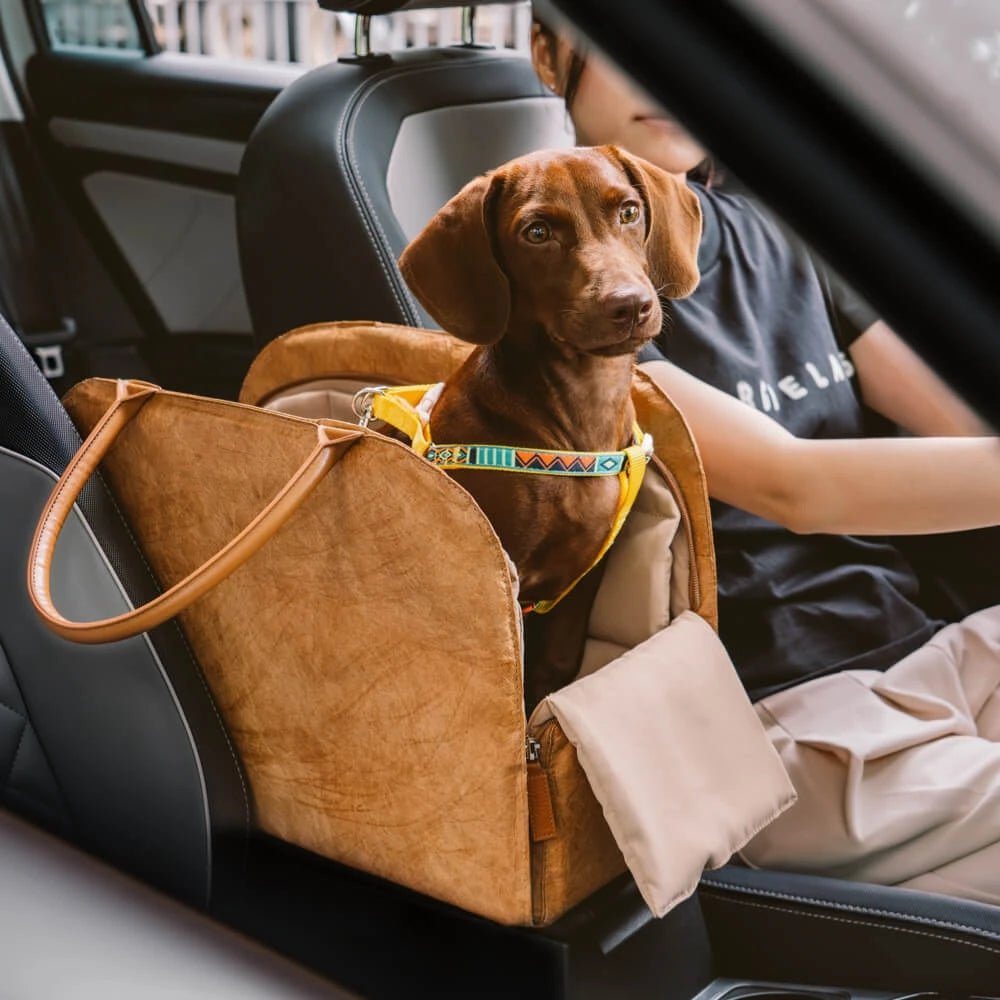 City Rover – Stijlvolle Multifunctionele Huisdier Reistas - Duke & Scoop