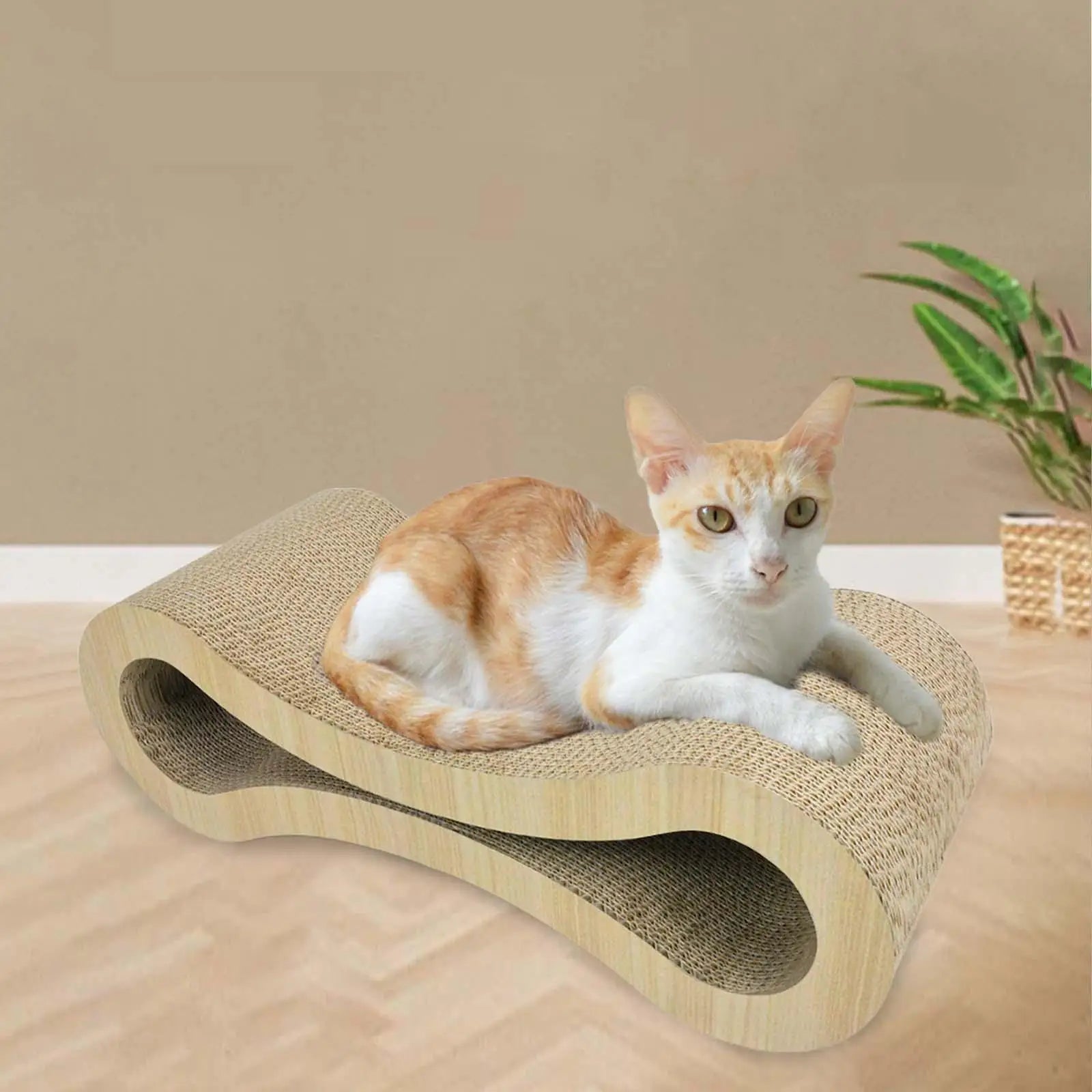 ClawMate – Katten Krabpaal - Duke & Scoop