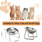 Comfort Bowl Verhoogde RVS Kattenbak - Duke & Scoop