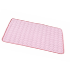CoolPaw – Verkoelende Huisdier Mat - Duke & Scoop