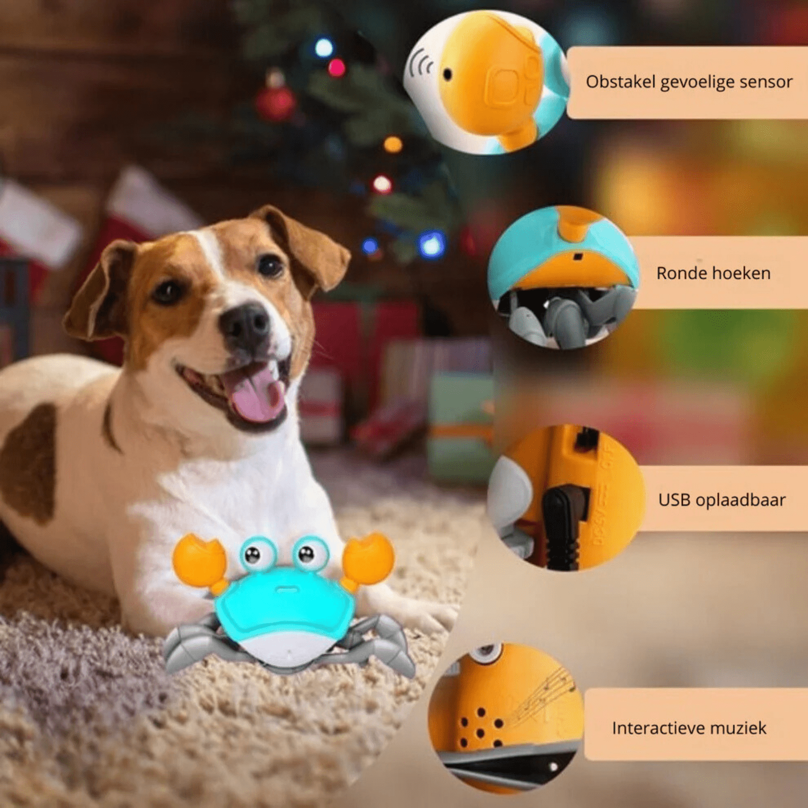 Crabwalk - Speelgoed voor Honden - Duke & Scoop