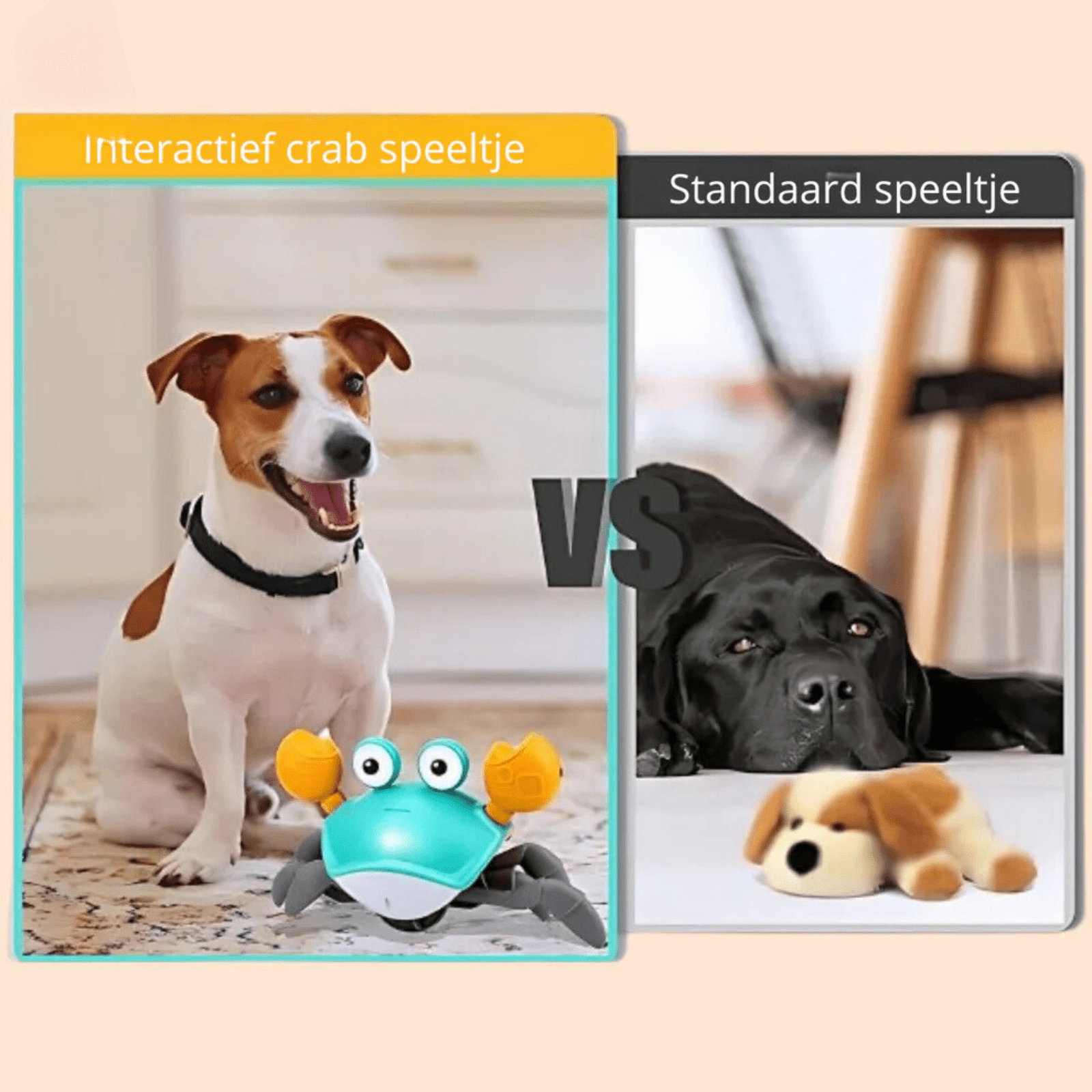 Crabwalk - Speelgoed voor Honden - Duke & Scoop
