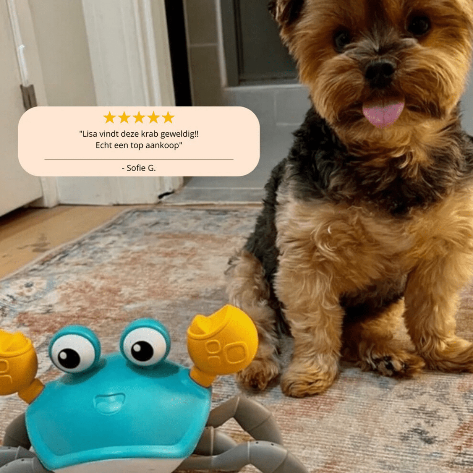 Crabwalk - Speelgoed voor Honden - Duke & Scoop