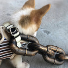 DogsChain - Realistische riem van IJzer - Duke & Scoop