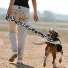 DogsChain - Realistische riem van IJzer - Duke & Scoop