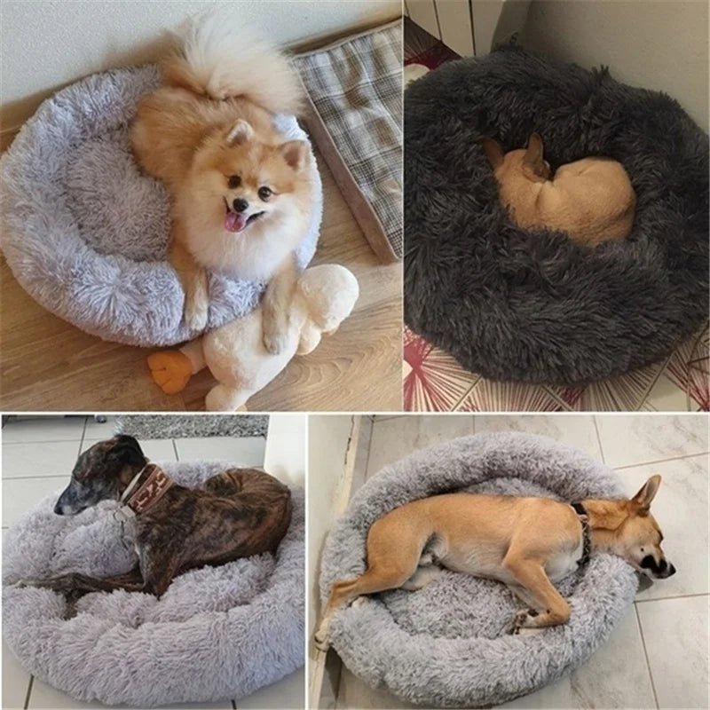 Donutdog Hondenbed - Duke & Scoop