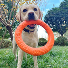 Duurzame Bijtbestendige Trainingsring - Duke & Scoop