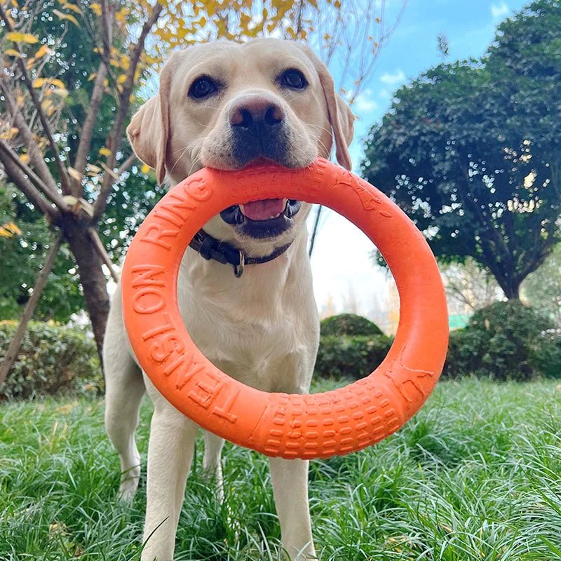 Duurzame Bijtbestendige Trainingsring - Duke & Scoop