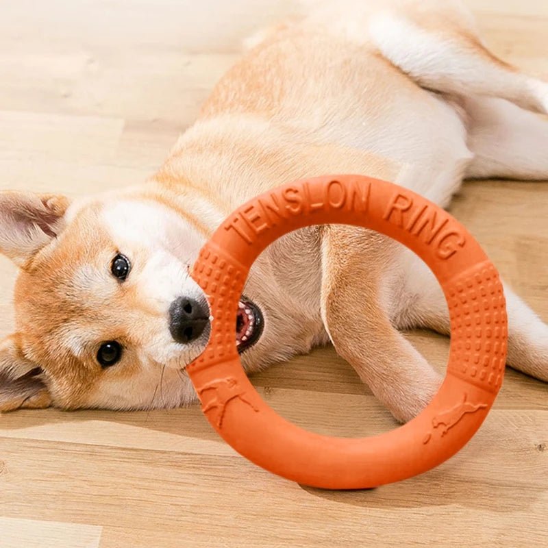 Duurzame Bijtbestendige Trainingsring - Duke & Scoop