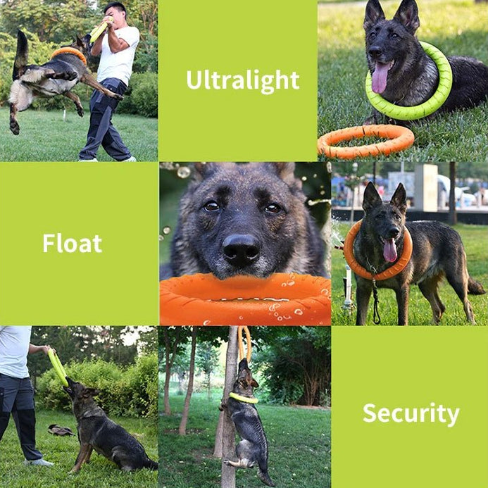 Duurzame Bijtbestendige Trainingsring - Duke & Scoop