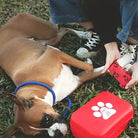 Eerste Hulp Set voor Honden en Katten – Compact EHBO Kit voor Huisdieren - Duke & Scoop