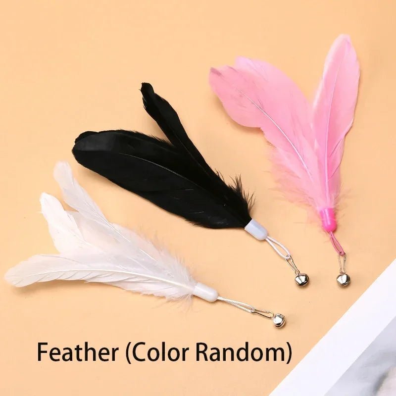 FeatheryFun - Kattenspel met Zuignap - Duke & Scoop