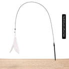 FeatheryFun - Kattenspel met Zuignap - Duke & Scoop