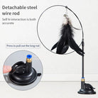 FeatheryFun - Kattenspel met Zuignap - Duke & Scoop
