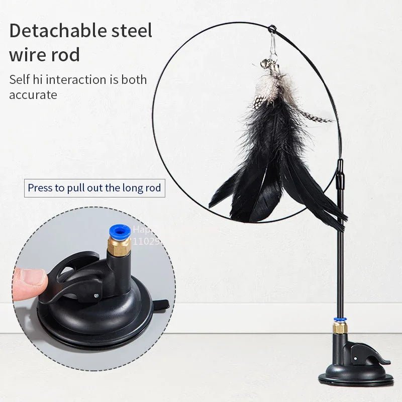 FeatheryFun - Kattenspel met Zuignap - Duke & Scoop