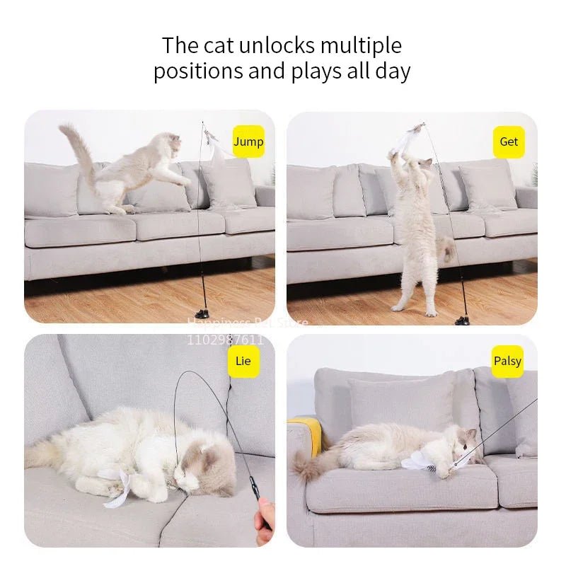 FeatheryFun - Kattenspel met Zuignap - Duke & Scoop