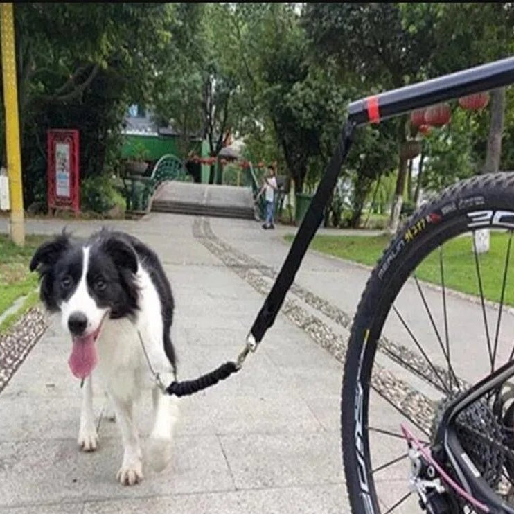 Fiets hondenriem met Metalen Bevestiging - Duke & Scoop
