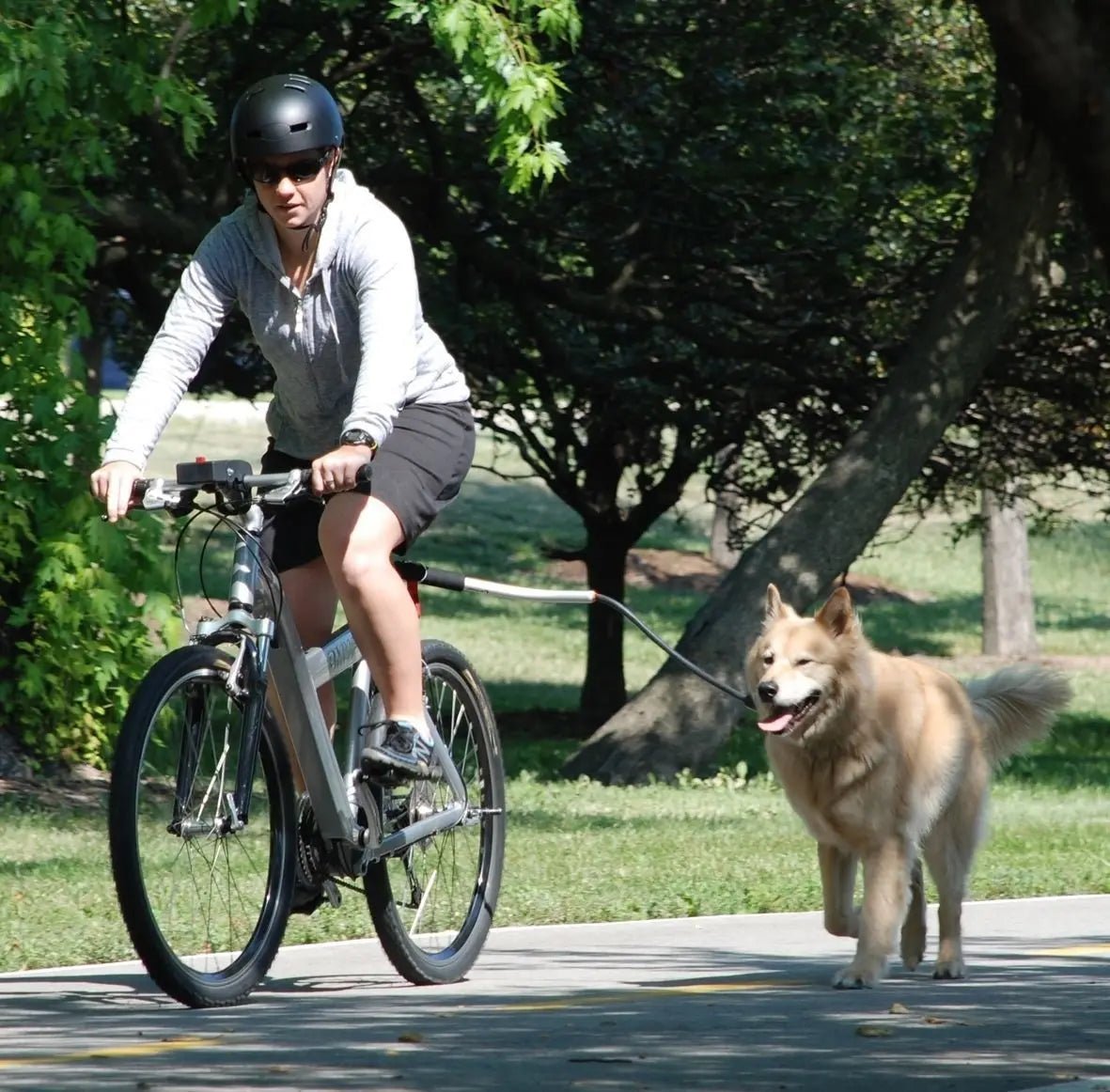 Fiets hondenriem met Metalen Bevestiging - Duke & Scoop