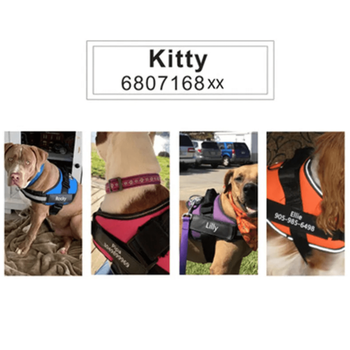 Gepersonaliseerde Klittenband Naamlabel voor Hondentuig - Duke & Scoop