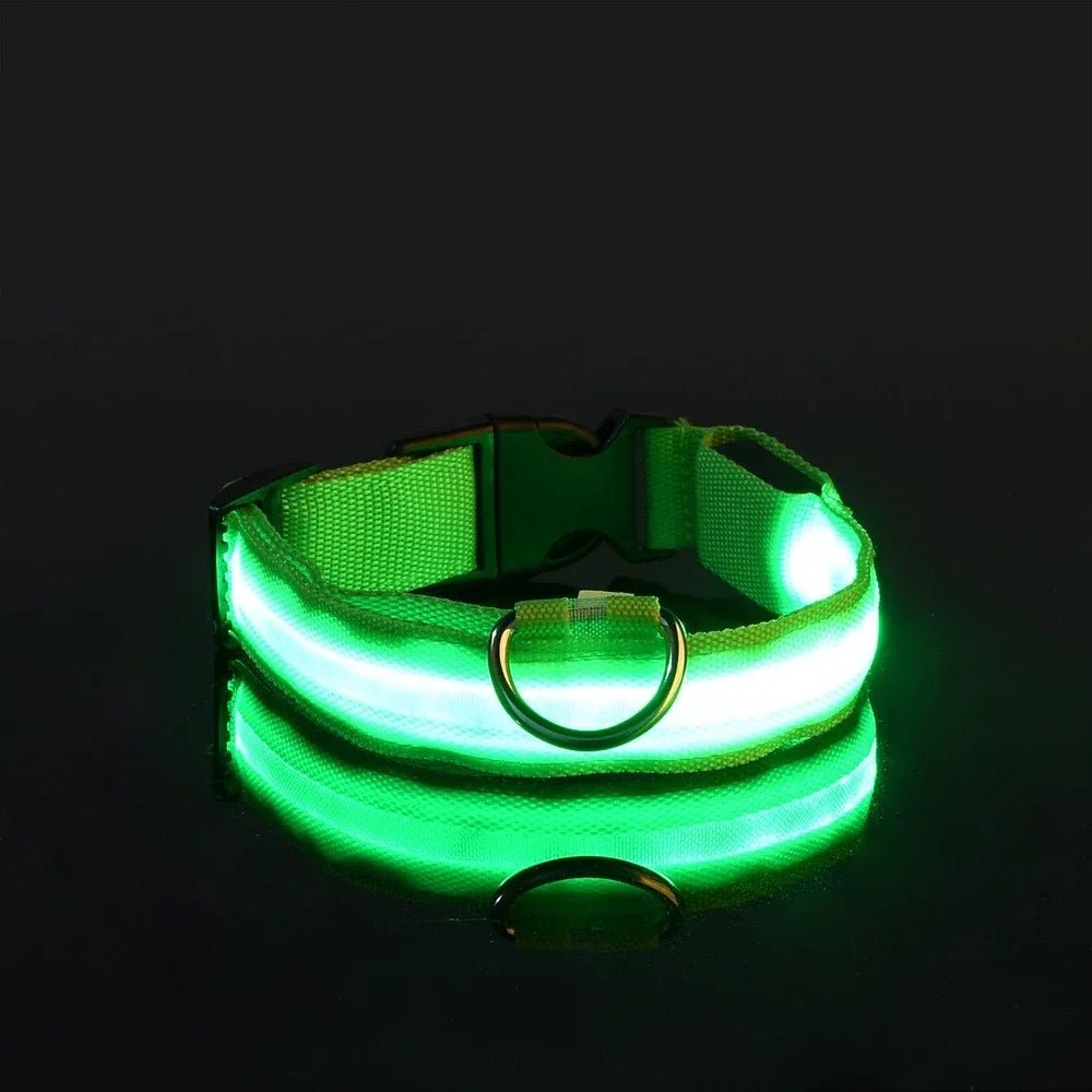 GlowBuddy – LED Halsband voor Honden - Duke & Scoop