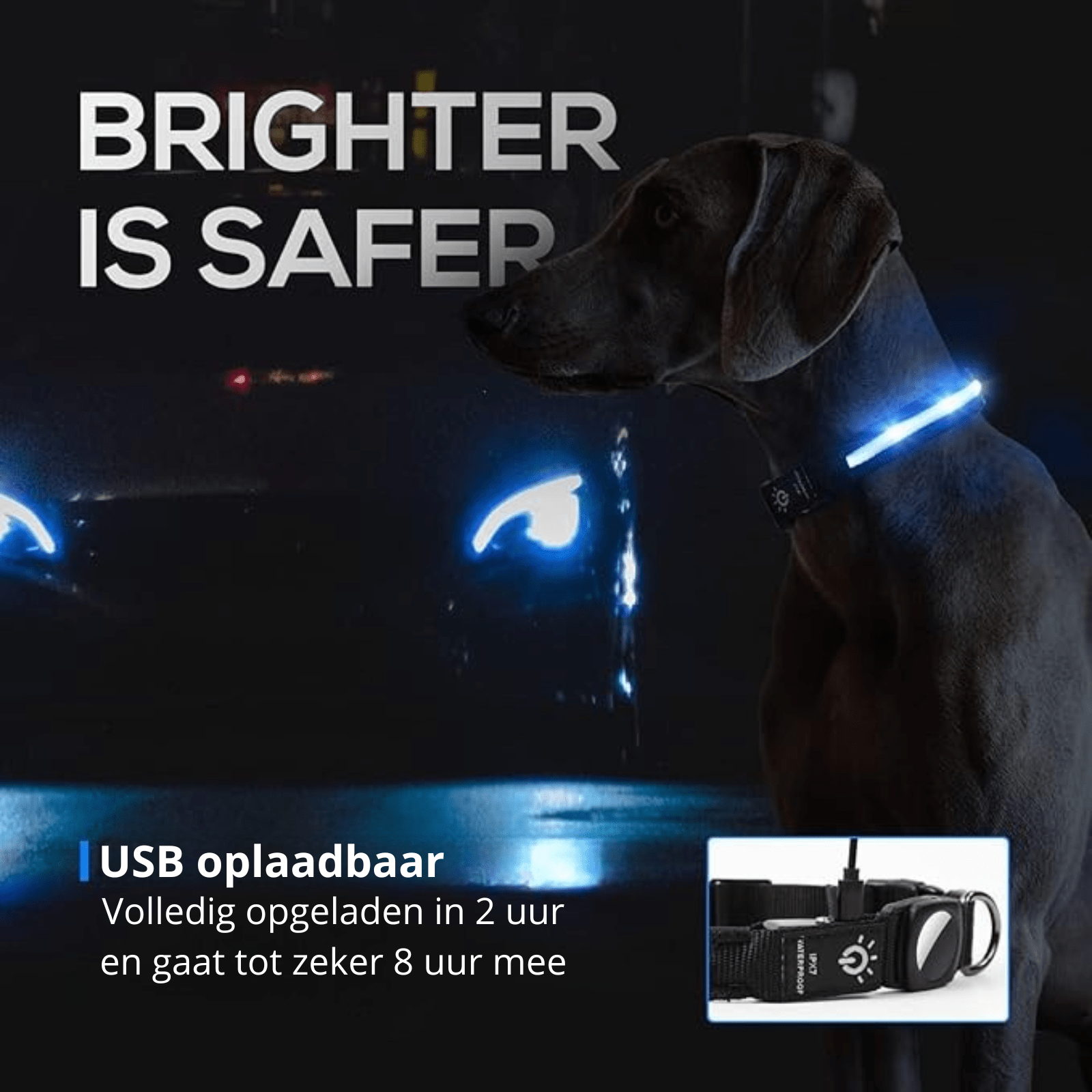GlowTrack Airtag Hondenhalsband - Duke & Scoop