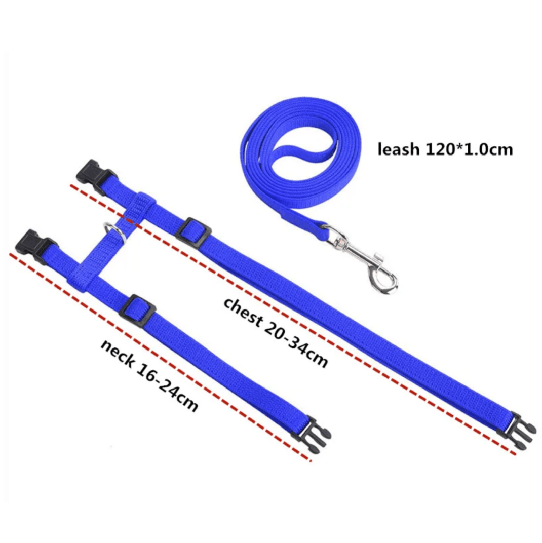 H - vorm Tuigje met Looplijn - Duke & Scoop