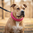 Halsband Hond - Verstelbare Geweven Nylon P - Ketting voor Honden - Duke & Scoop