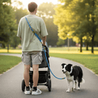 Handenvrije Looplijn met Ketting - Duke & Scoop