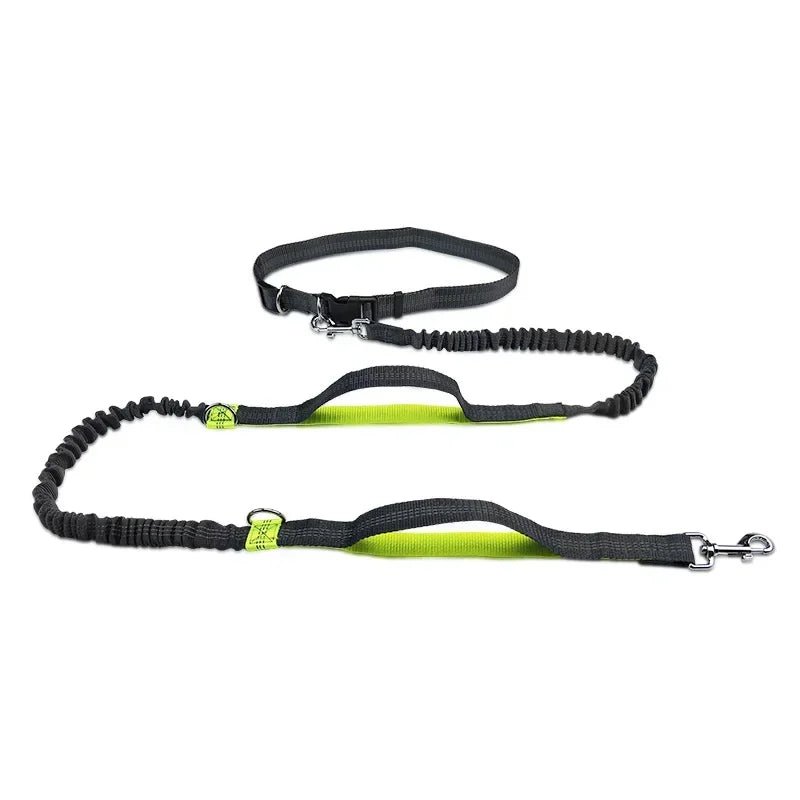Handsfree Hondenriem – Heupriem voor Hardlopen & Wandelen - Duke & Scoop