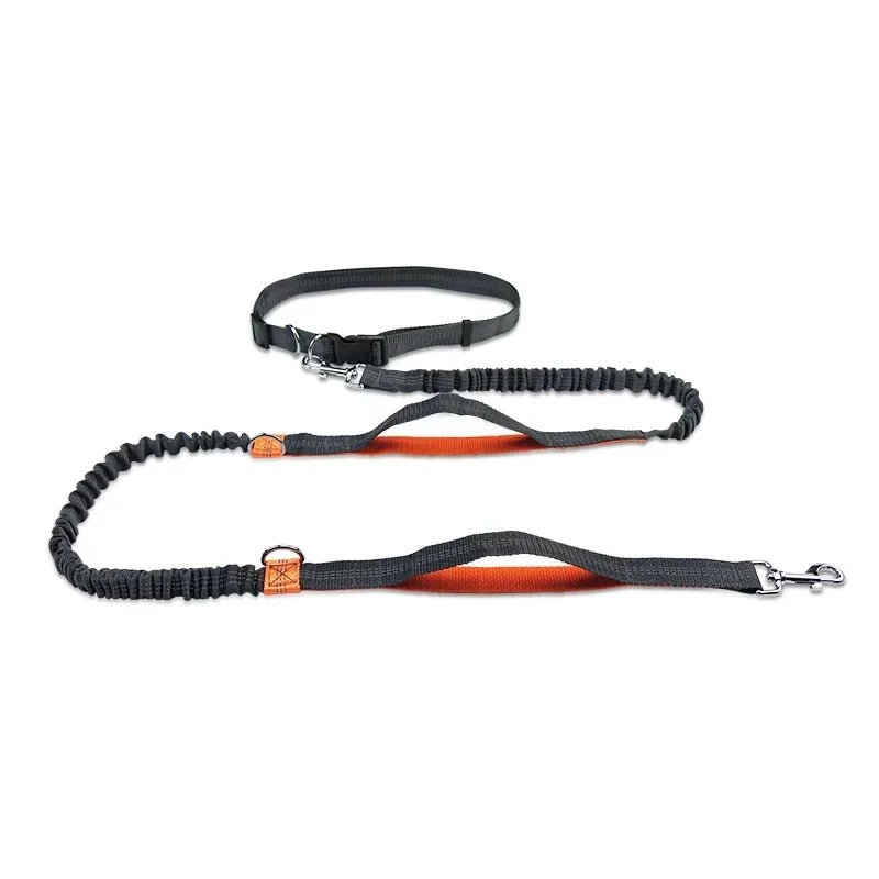 Handsfree Hondenriem – Heupriem voor Hardlopen & Wandelen - Duke & Scoop