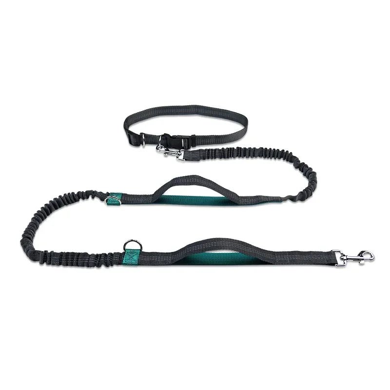 Handsfree Hondenriem – Heupriem voor Hardlopen & Wandelen - Duke & Scoop
