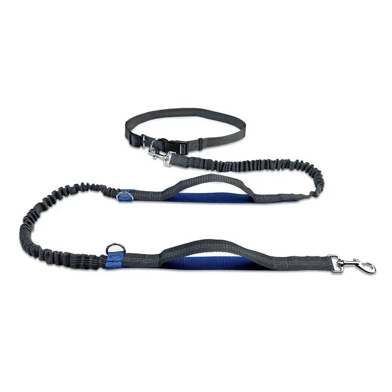 Handsfree Hondenriem – Heupriem voor Hardlopen & Wandelen - Duke & Scoop