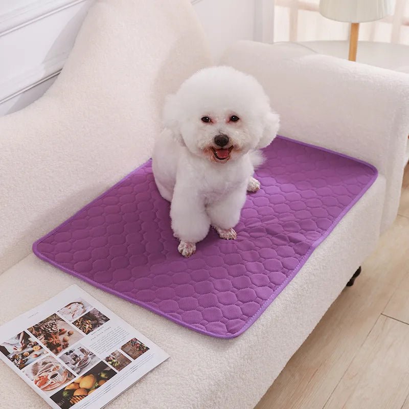 Herbruikbare Hondenplasmat – Wasbare Puppy Training Pad - Duke & Scoop