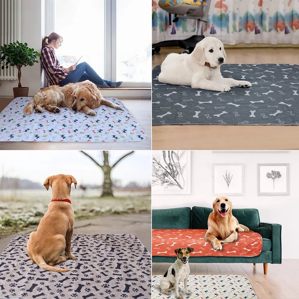Herbruikbare urinepad - Trainingsmat hond - Duke & Scoop