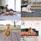 Herbruikbare urinepad - Trainingsmat hond - Duke & Scoop
