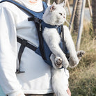 Hond en Katten Draagrugzak - Duke & Scoop