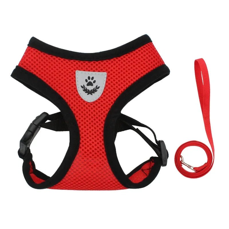Hond - & Kattenharnas met Riem - Duke & Scoop