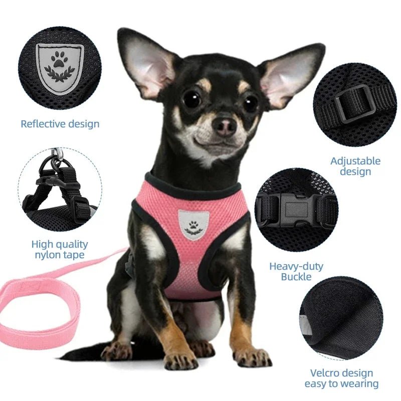 Hond - & Kattenharnas met Riem - Duke & Scoop