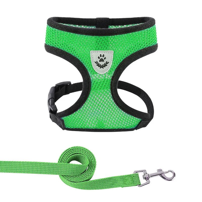 Hond - & Kattenharnas met Riem - Duke & Scoop