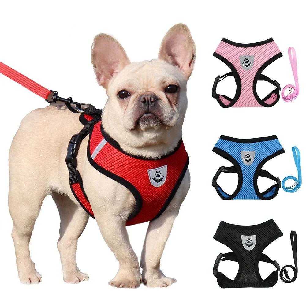 Hond - & Kattenharnas met Riem - Duke & Scoop