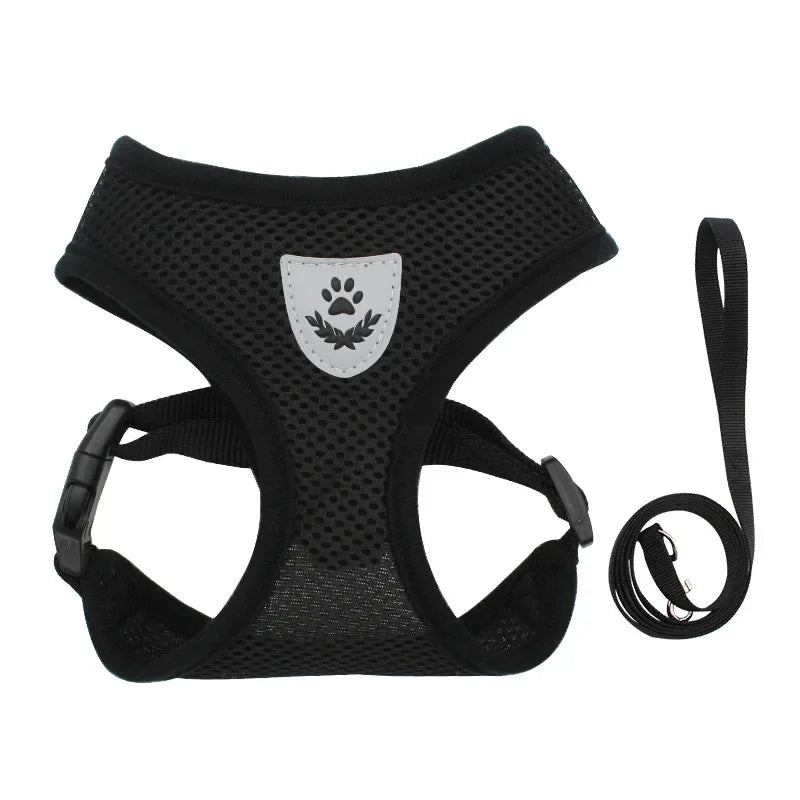 Hond - & Kattenharnas met Riem - Duke & Scoop