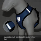 Hond - & Kattenharnas met Riem - Duke & Scoop
