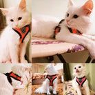 Hond - & Kattenharnas met Riem - Duke & Scoop