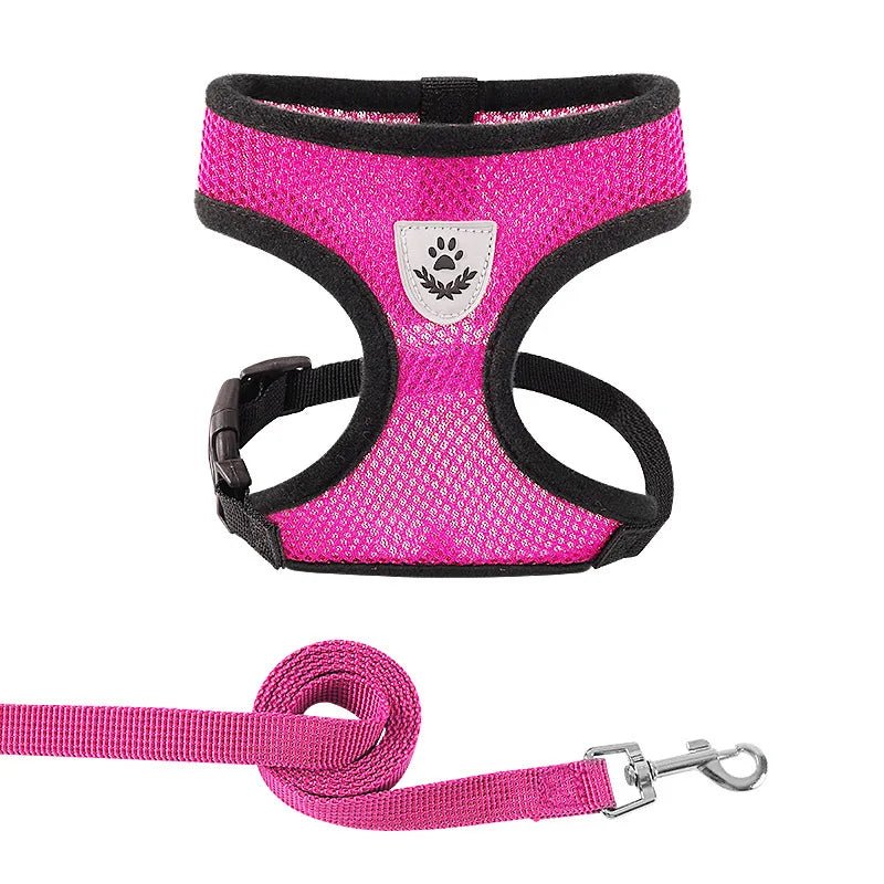 Hond - & Kattenharnas met Riem - Duke & Scoop