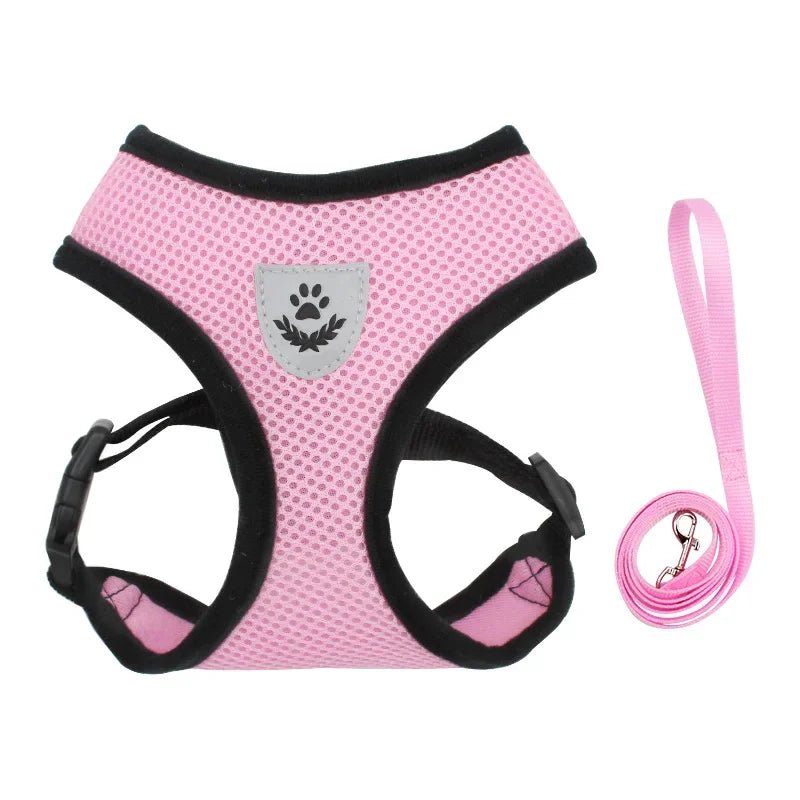 Hond - & Kattenharnas met Riem - Duke & Scoop
