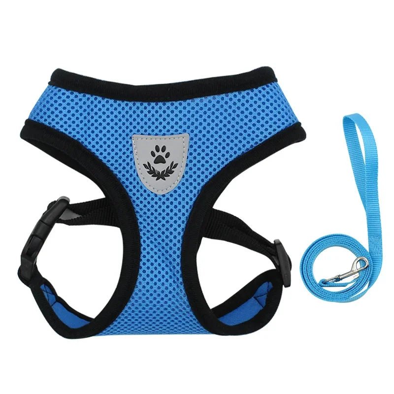 Hond - & Kattenharnas met Riem - Duke & Scoop