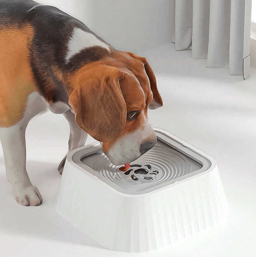 Honden Drinkbak - Anti - mors Waterdispenser - Duke & Scoop