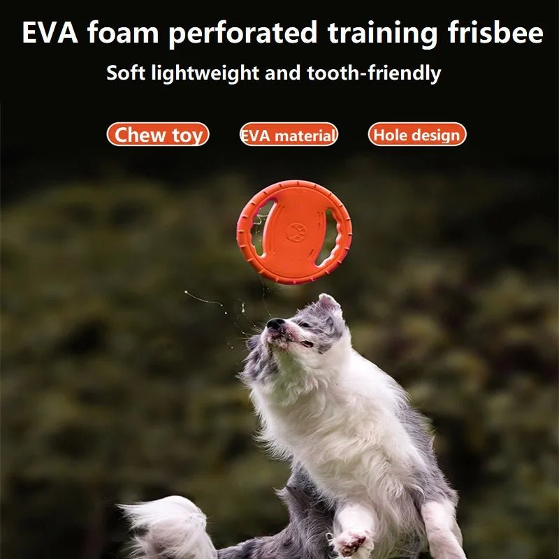 Honden Frisbee Speelgoed - Duke & Scoop